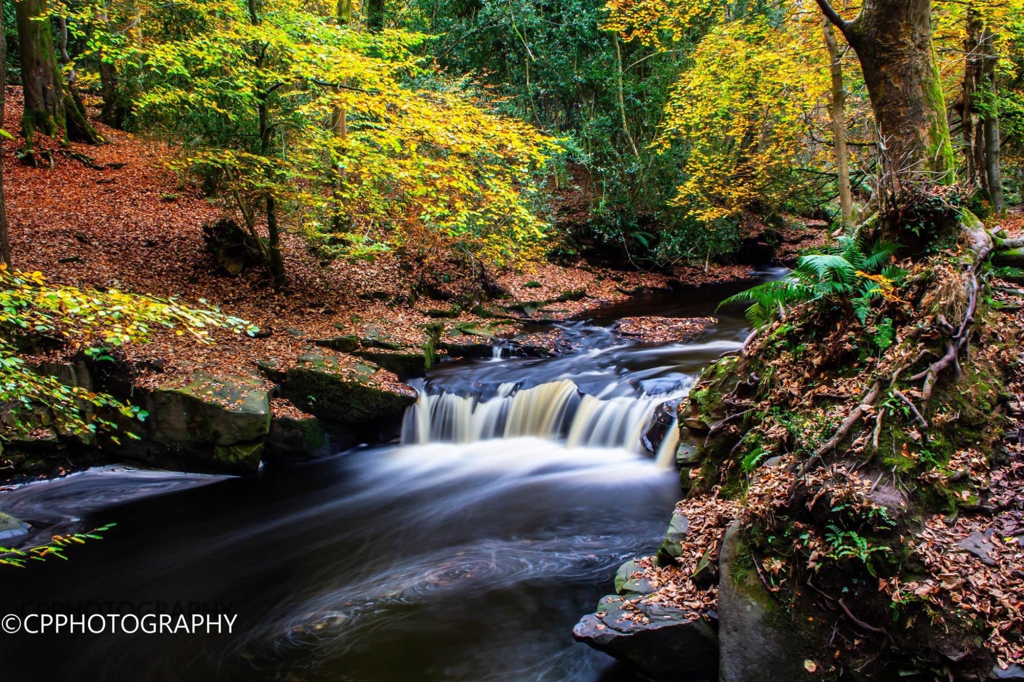 Jigsaw Puzzle | 77 pieces | Rivelin Valley, Sheffield, South Yorkshire ...