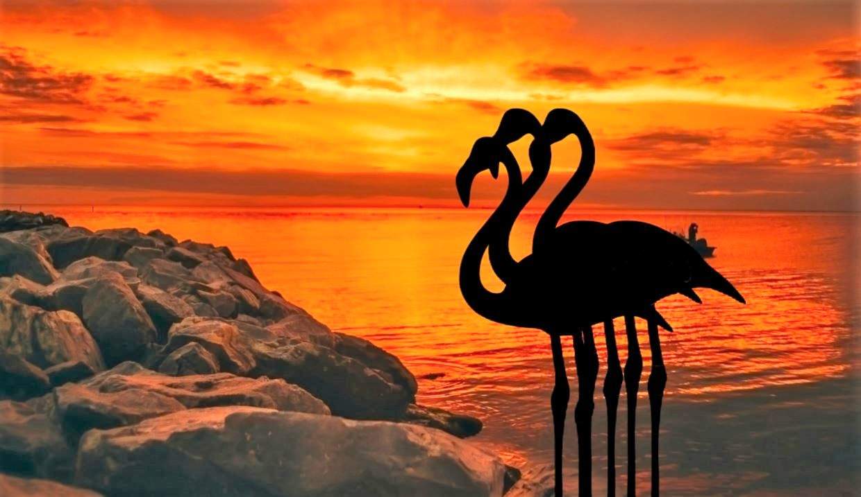 Solver Trio Solve Trio in Sunset Silhouette jigsaw puzzle online with 240 pieces