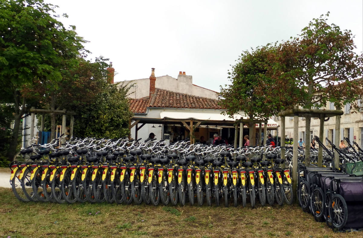 Solve bike rental jigsaw puzzle online with 96 pieces