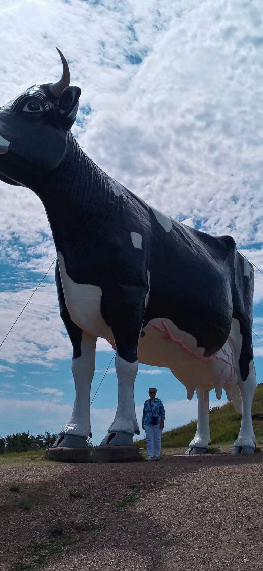 Solve SALEM SUE WORLDS LARGEST HOLSTEIN COW, NEW SALEM NORTH DAKOTA