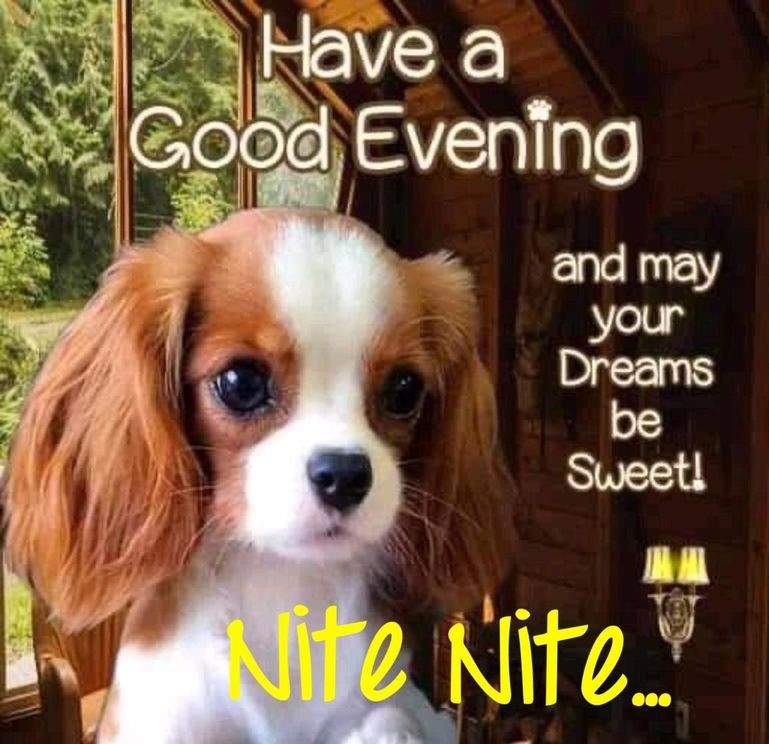 「good evening」 Solve Good Evening - Sweet Dreams jigsaw puzzle online with 64 pieces