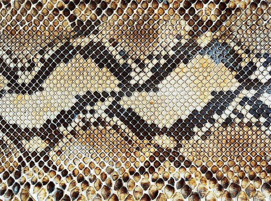 Solve 2 ~ 'Snake pattern.' jigsaw puzzle online with 24 pieces