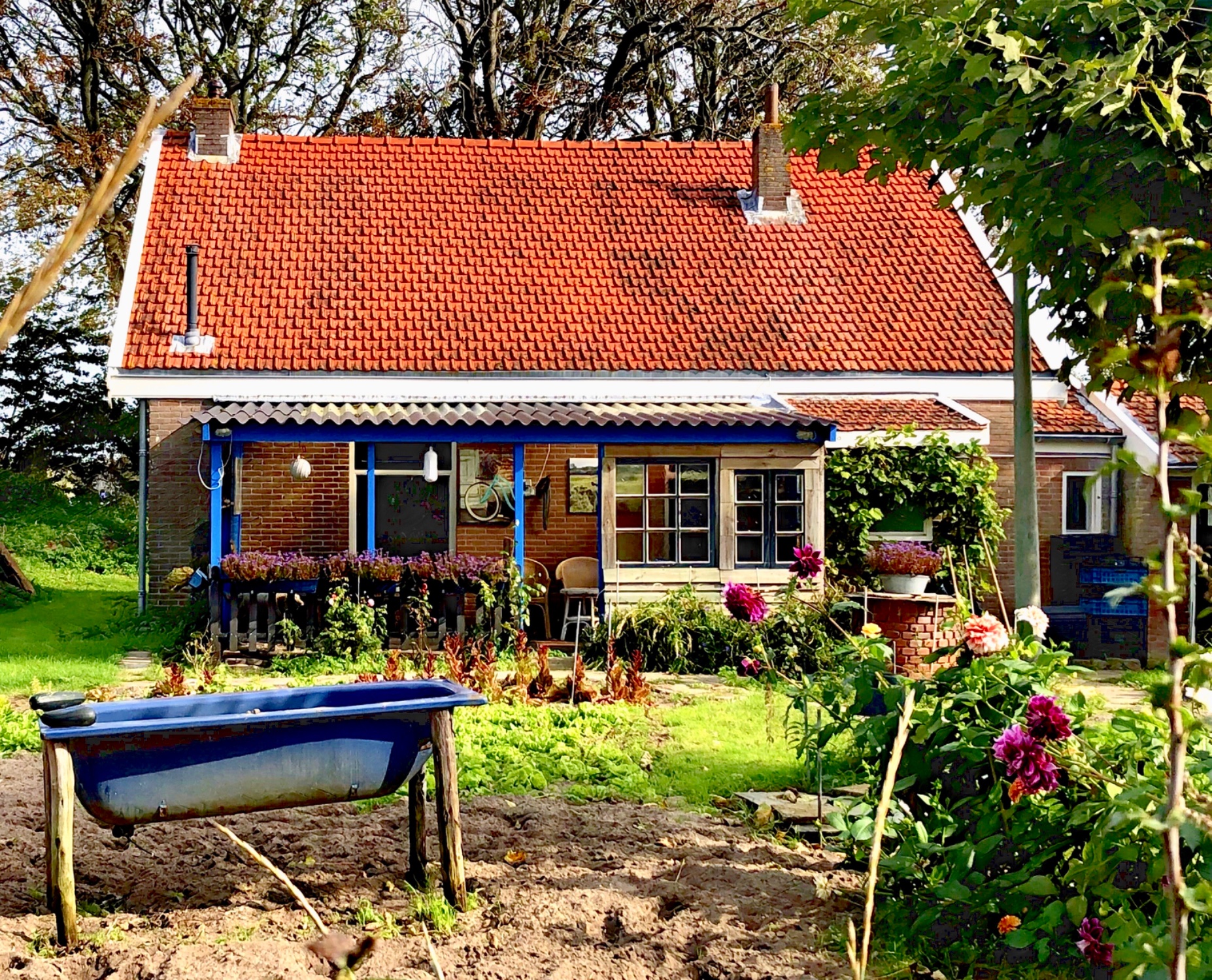 Solve Egmond aan de Hoef jigsaw puzzle online with 80 pieces