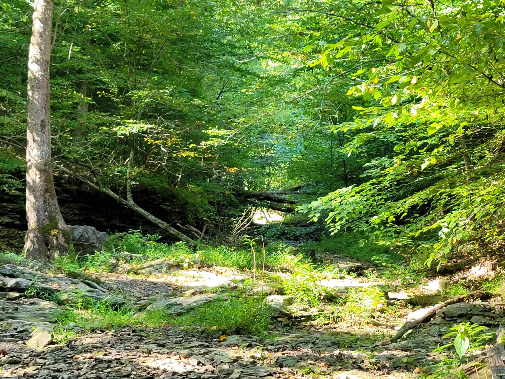 Solve Kentucky jigsaw puzzle online with 130 pieces