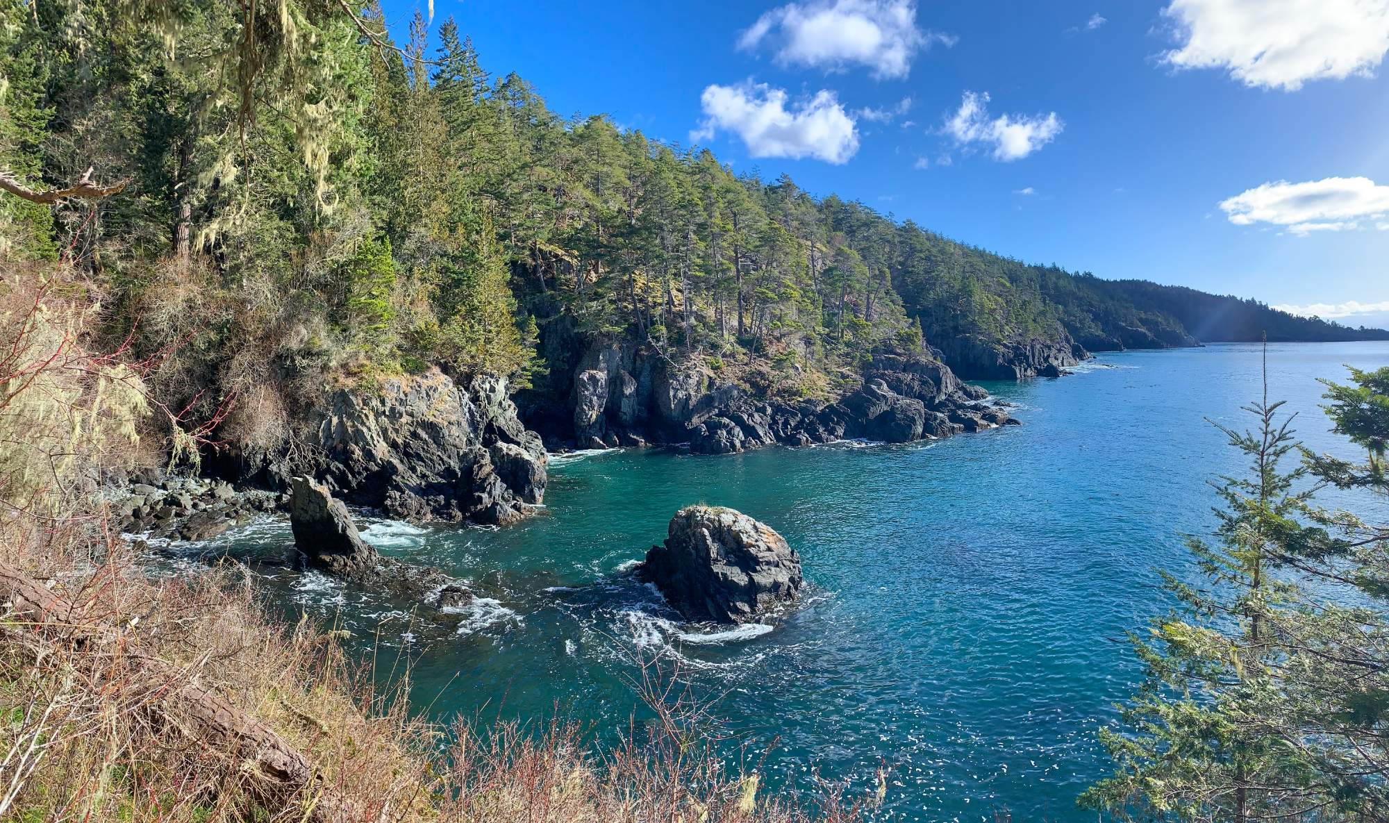 Solve A beautiful cove in East Sooke Regional Park jigsaw puzzle online