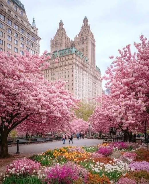 Spring In The City Solve Spring in the city jigsaw puzzle online with 80 pieces
