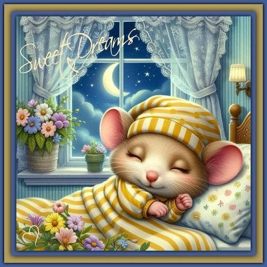 ▶︎ Good night Sweet dreams (you) Good Night - I Love You - Sweet Dreams: Anderson, Rita, Piazza