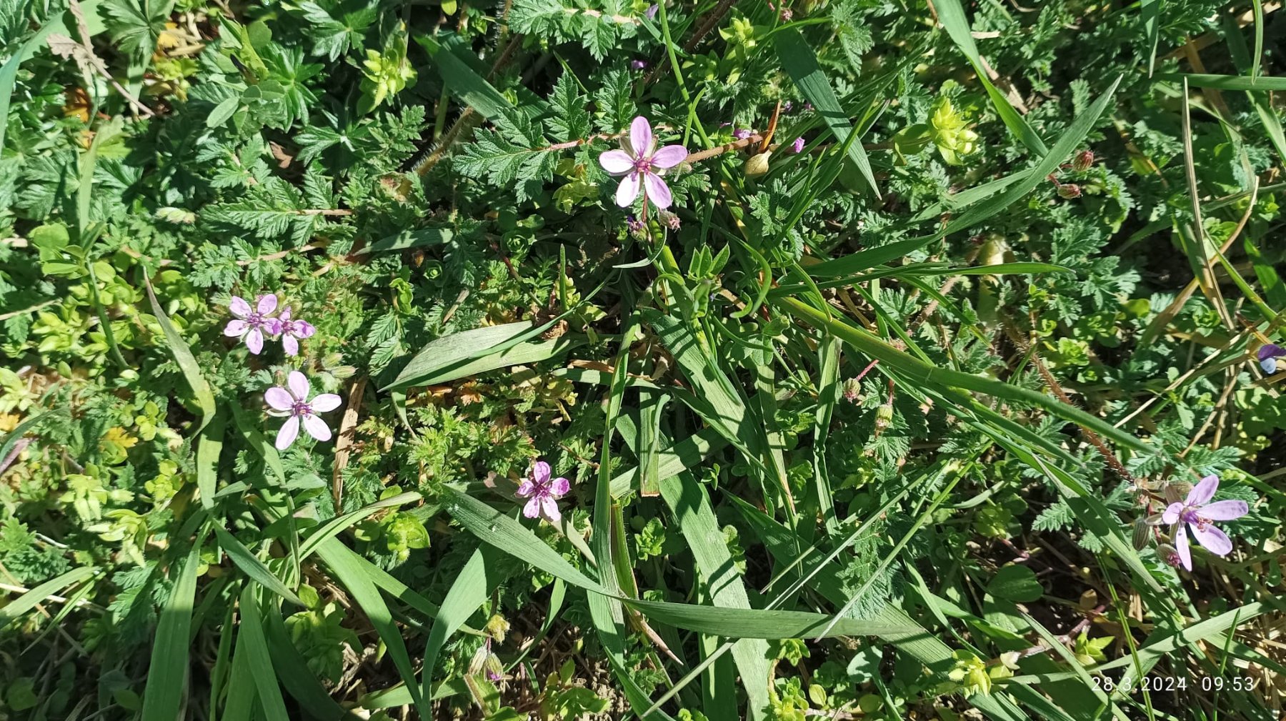 Solve Pumpava Obecn Jigsaw Puzzle Online With 45 Pieces solve-pumpava-obecn-jigsaw-puzzle-online-with-45-pieces