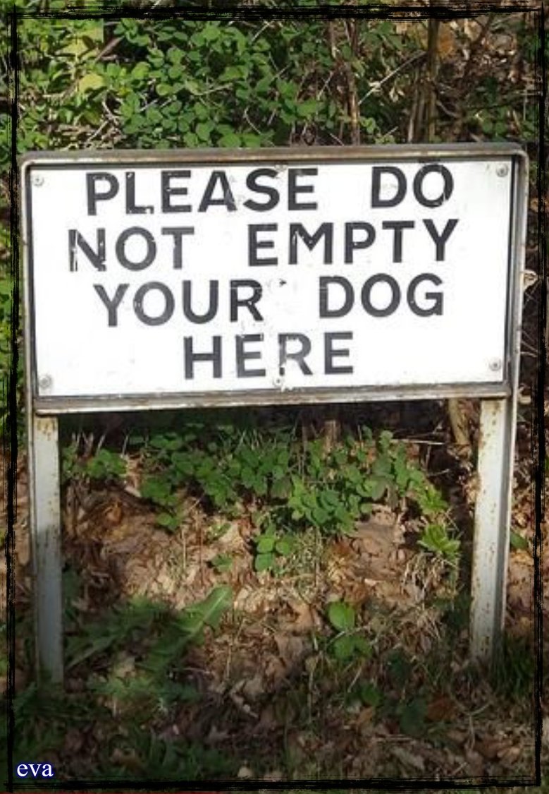 Solve I won't ) jigsaw puzzle online with 15 pieces