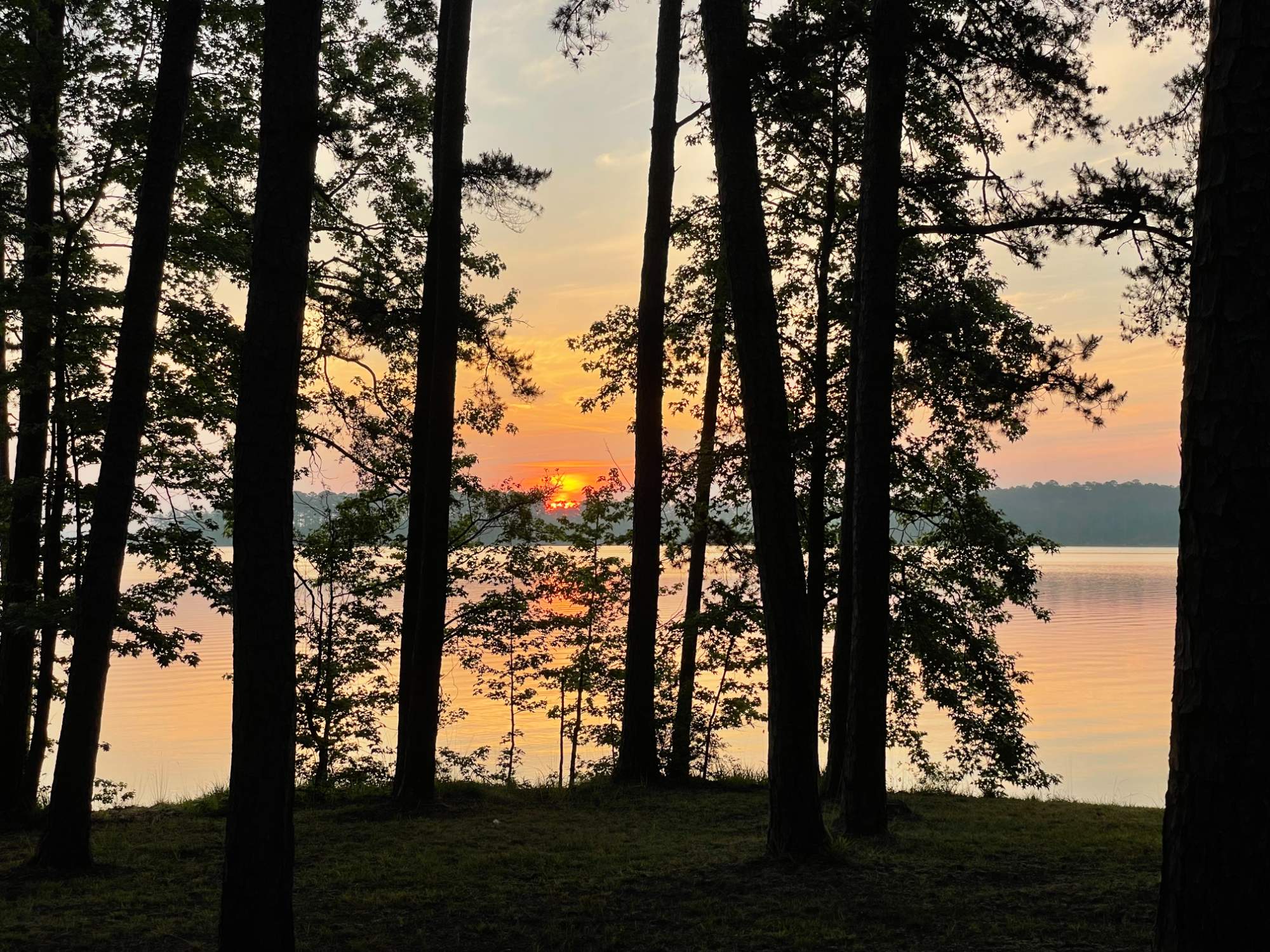 Solve Sunrise, Clarks Hill Lake jigsaw puzzle online with 450 pieces