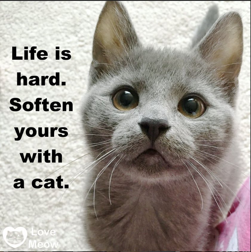 Solve Love is Just a Word Until Someone or Something Comes Along and