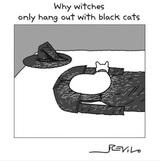 Solve Wobblybear's Fun Stuff (wbfs) Halloween real reason witches