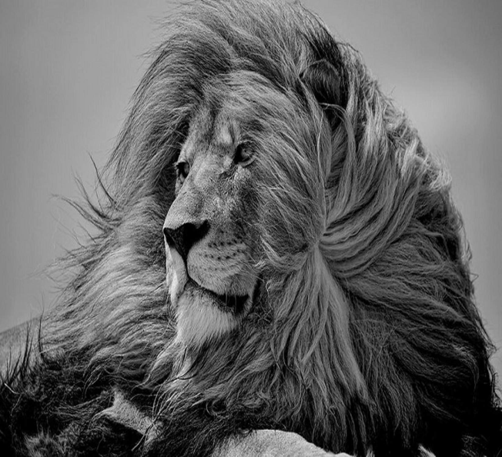 Solve Kings and Queens photographed in South Africa by Victoria