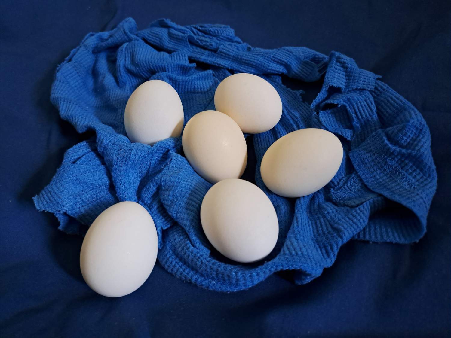 Solve Half dozen eggs Part 2 jigsaw puzzle online with 88 pieces