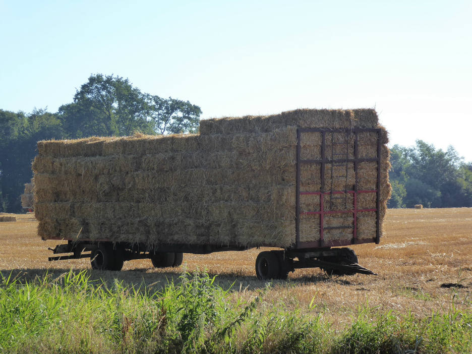 Solve Winterswijk. A waggon full of nice dry rye straw jigsaw puzzle