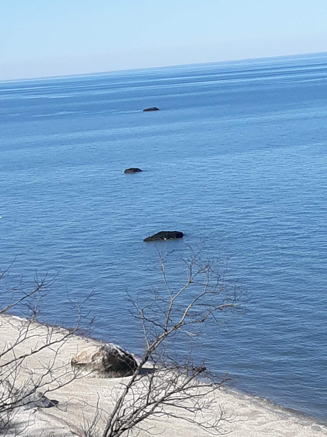 Solve Stepping Stones jigsaw puzzle online with 154 pieces