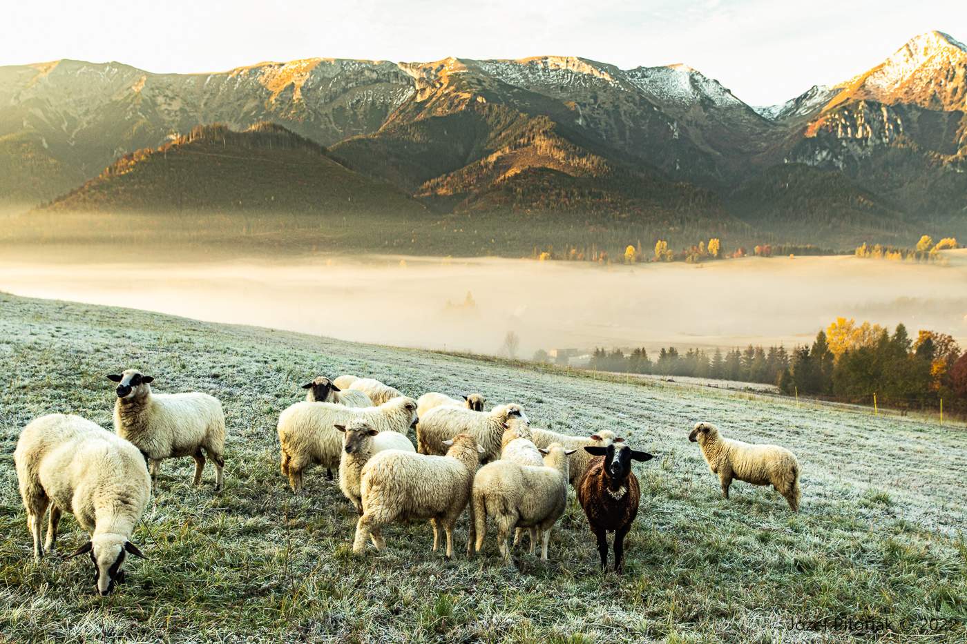 Solve Pod Tatrami, Slovensko jigsaw puzzle online with 96 pieces