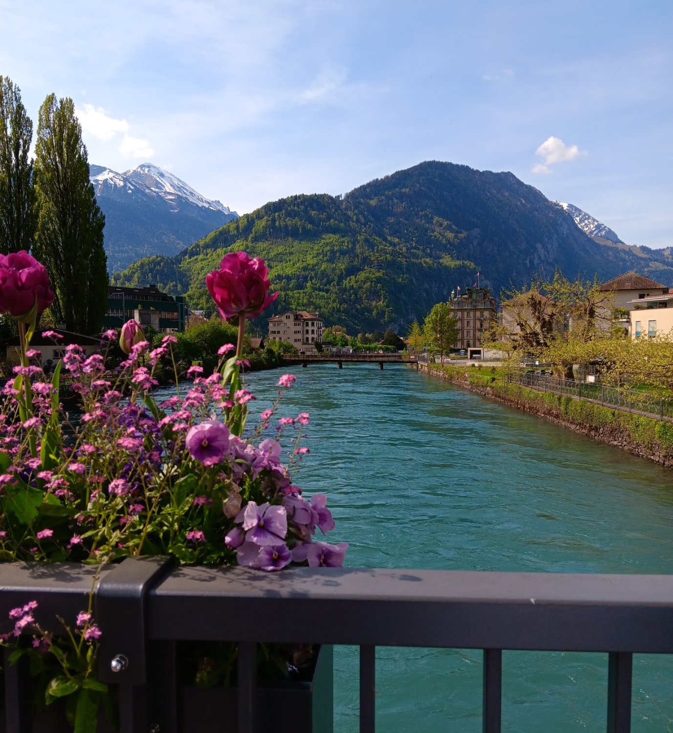 Solve Aare River Interlaken Switzerland jigsaw puzzle online with 56 pieces