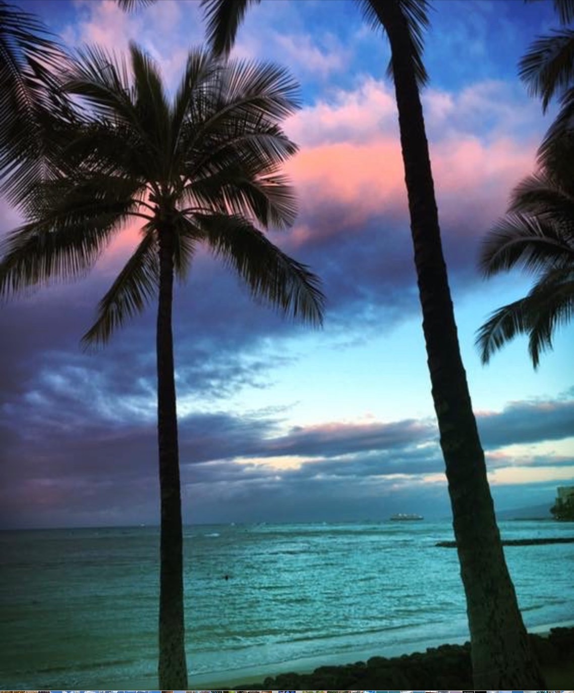 Solve Honolulu Hawaii 2019 jigsaw puzzle online with 99 pieces