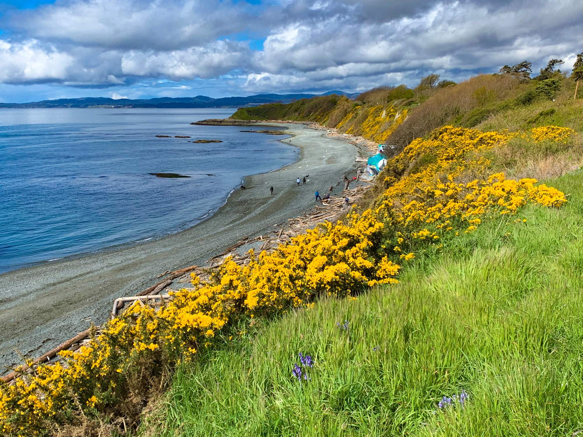 Solve The beach in Victoria BC jigsaw puzzle online with 221 pieces