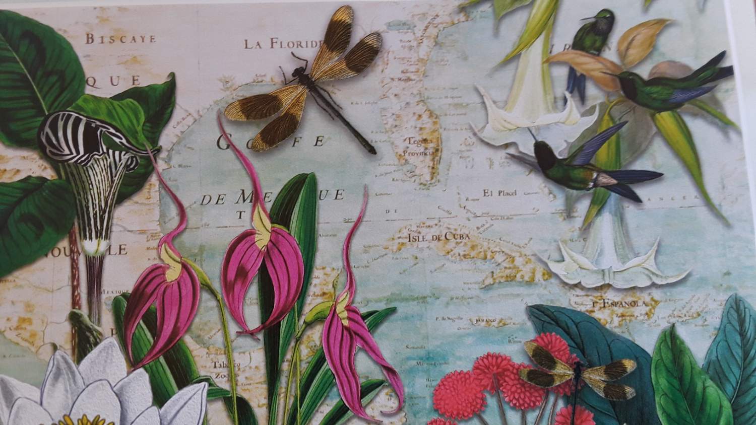 Solve Hummingbirds drawing flower nectar from a from a trump plant