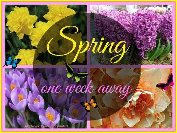 Solve Spring - one week away jigsaw puzzle online with 63 pieces