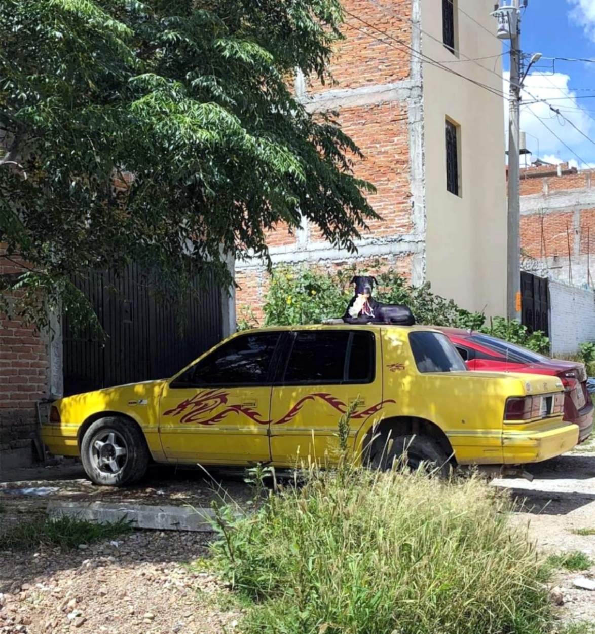 Puzzle 90 pièces Top Notch Security, Mexico Jigidi