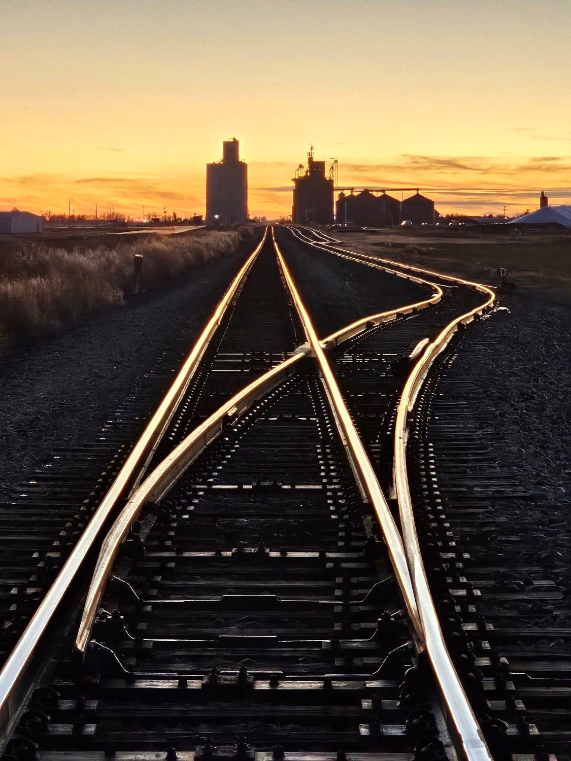 Solve Love the way the sun shines on all the spikes! Near Kismet Ks. jigsaw puzzle online with