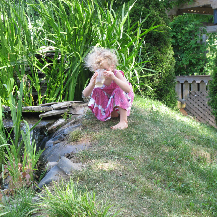 Jigsaw Puzzle Drinking water from pond 25 pieces Jigidi