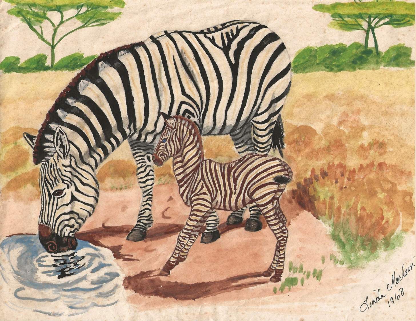 Solve Zebra jigsaw puzzle online with 63 pieces