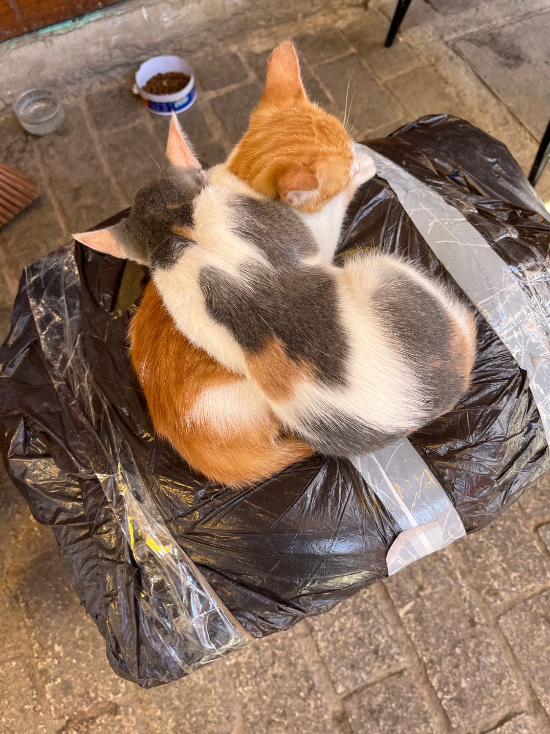 Solve Universal Attraction jigsaw puzzle online with 352 pieces