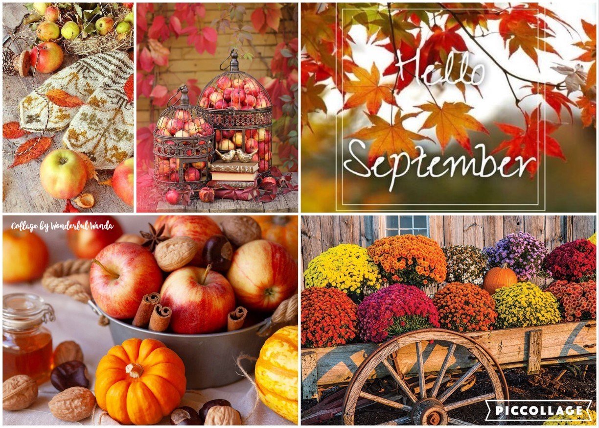 Solve Hello September (Small) jigsaw puzzle online with 48 pieces