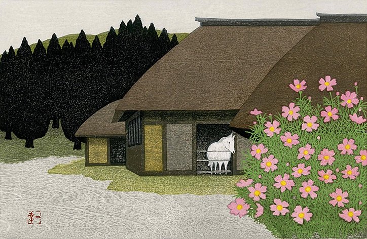 Monte Fuji in Giappone Puzzle Impossibili 1000 Pezzi Bellissimo