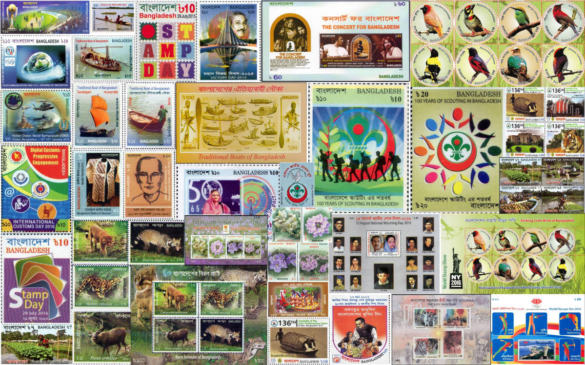 Solve Bangladesh 2014 2017 jigsaw puzzle online with 96 pieces