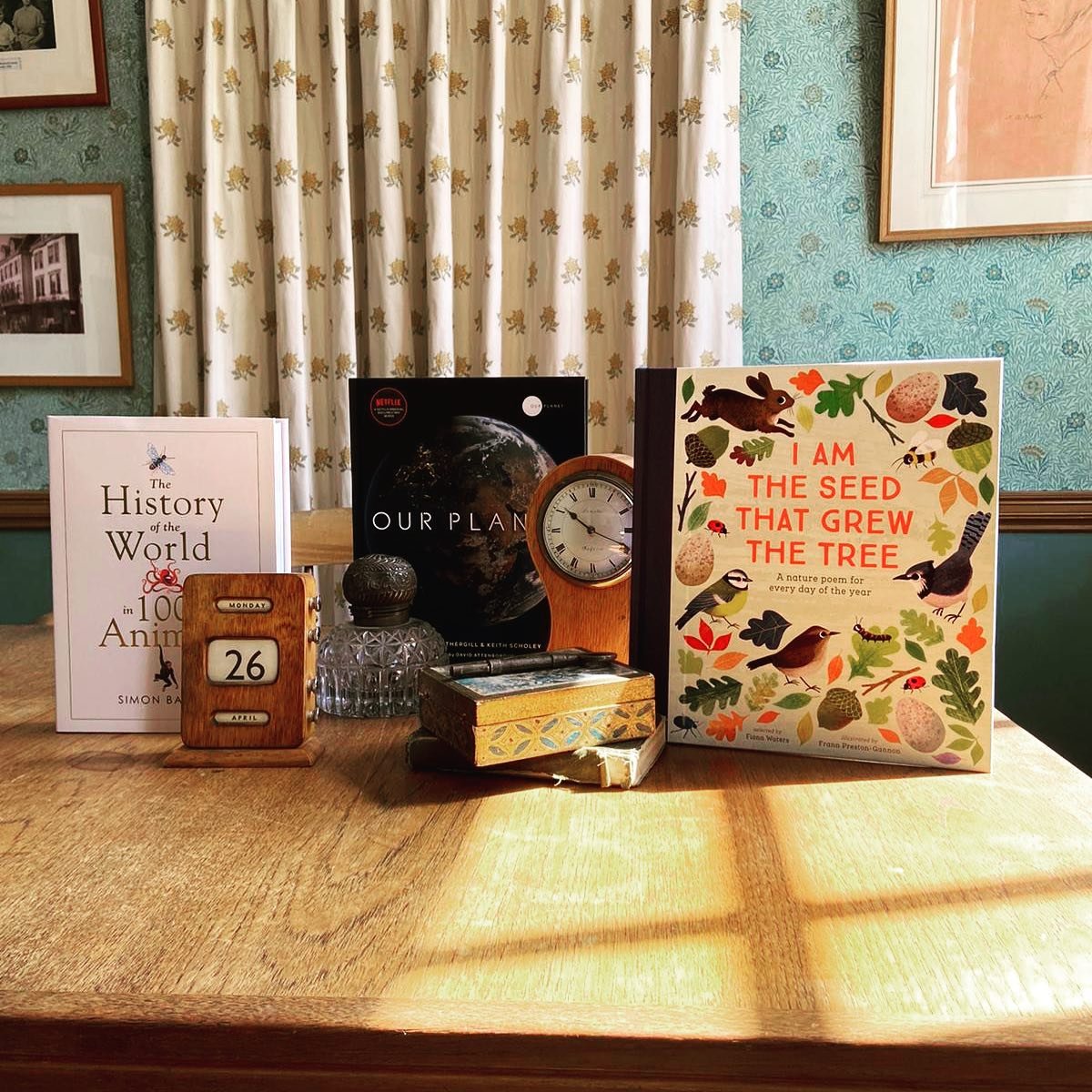 Solve Some for those of you looking for some Nature