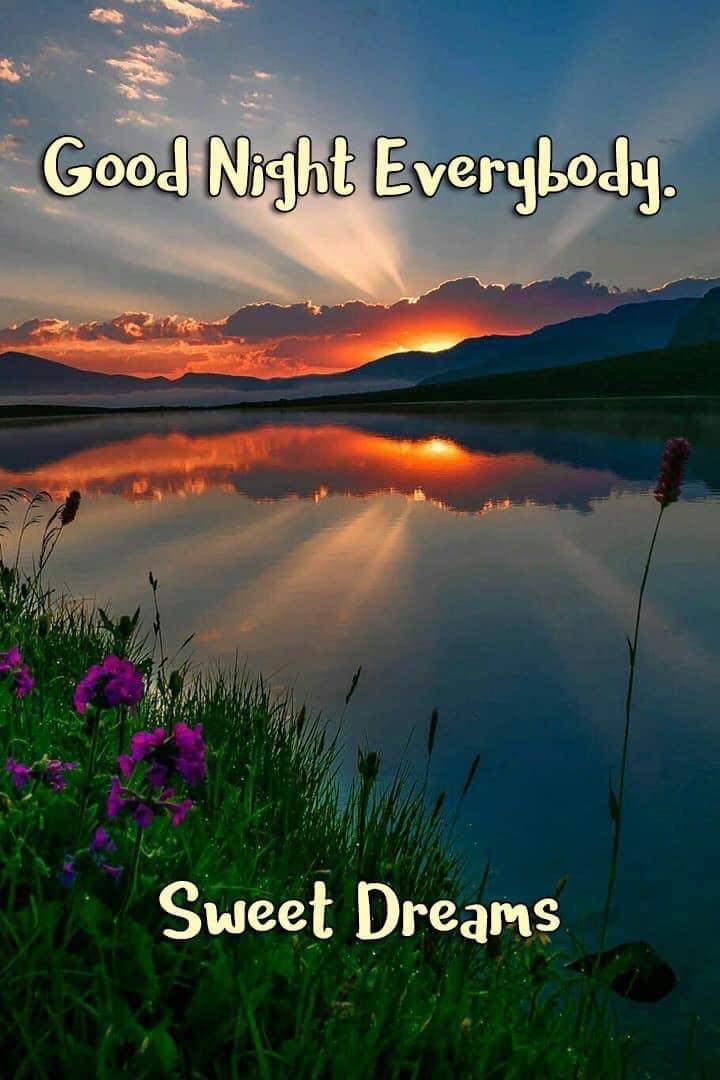 Solve Good Night - Sweet Dreams! jigsaw puzzle online with 70 pieces