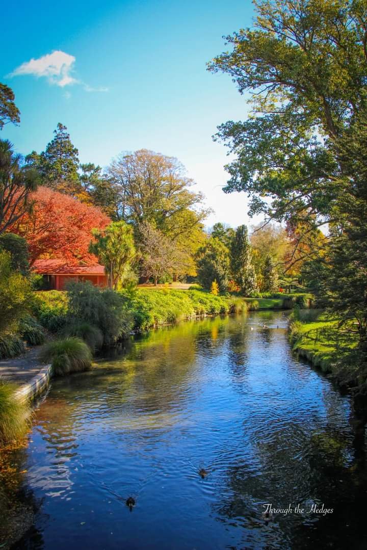 Solve Avon River, Christchurch jigsaw puzzle online with 35 pieces