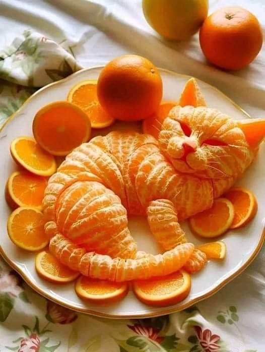 Solve Fun with food. A mandarin moggy jigsaw puzzle online with 30 pieces
