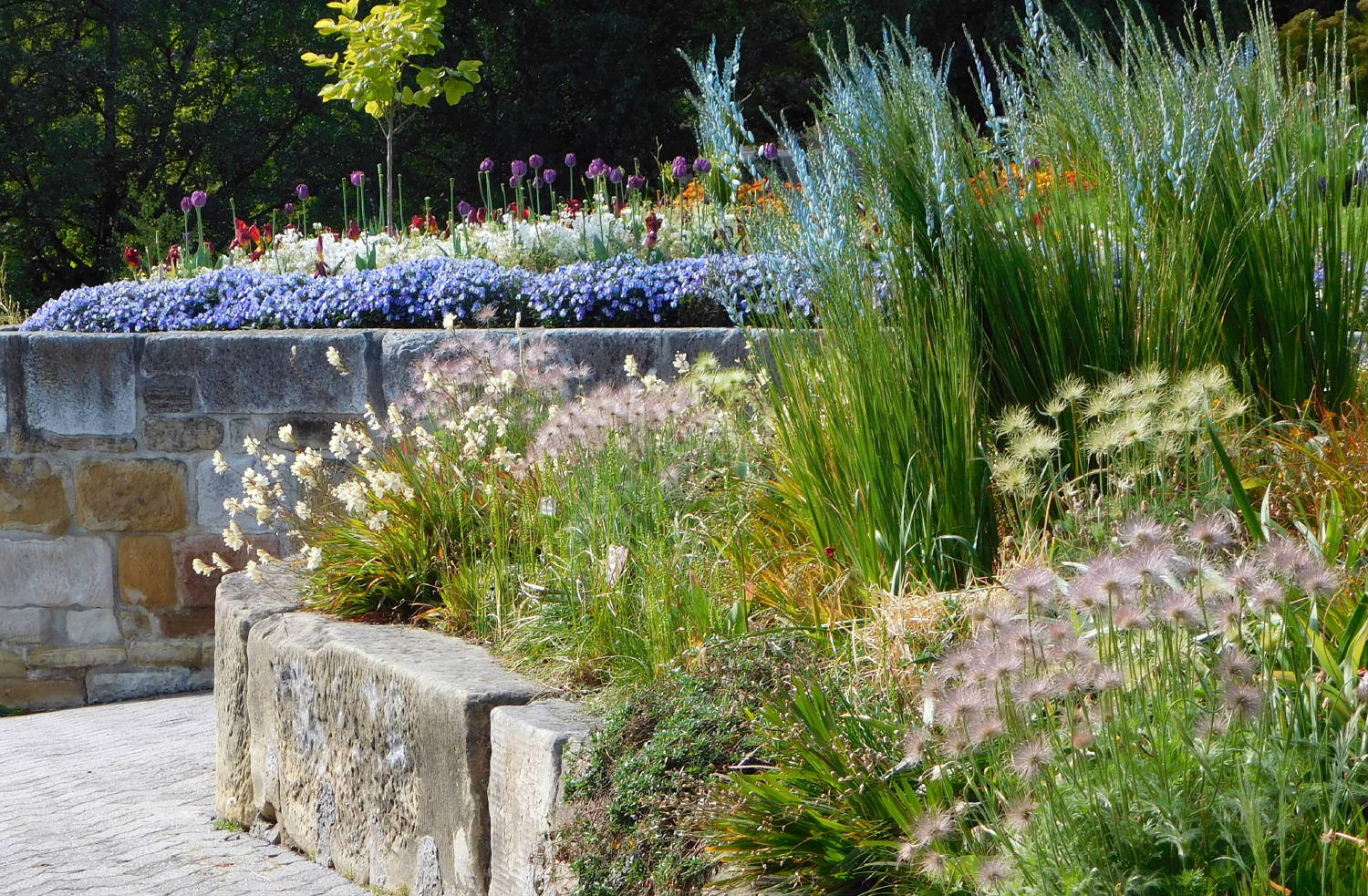 Solve Botanical Gardens, Hobart, Tasmania jigsaw puzzle online with 247