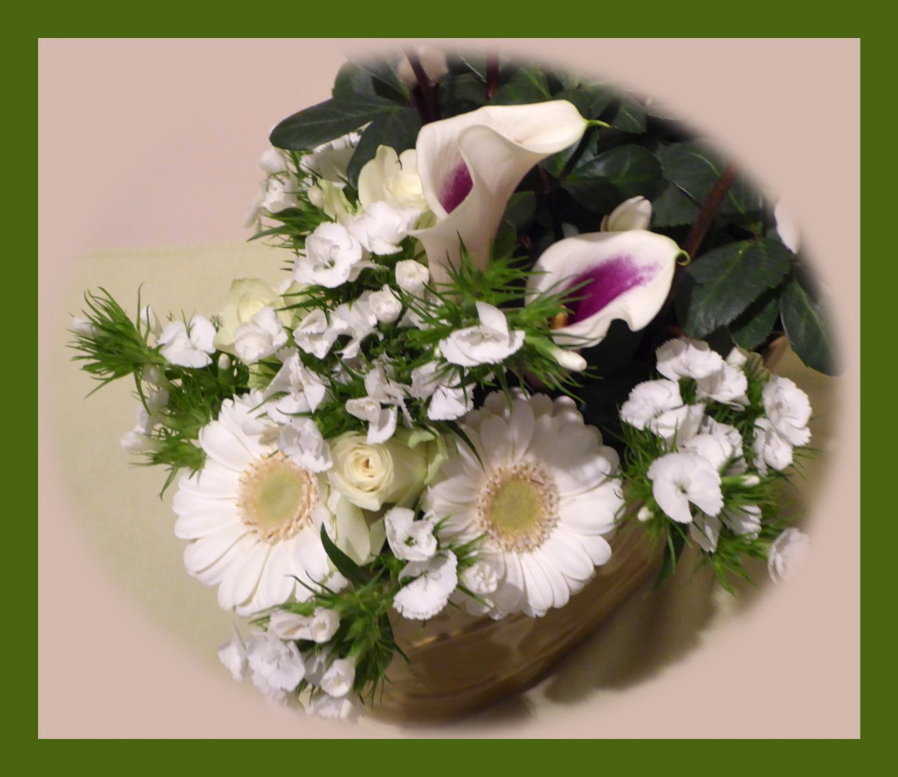 Solve A flower for LIA, who is in the clinic. Een bloemetje voor LIA