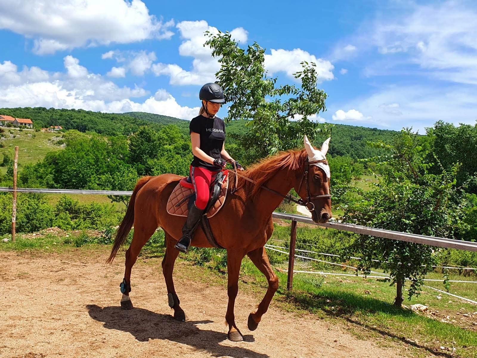  Solve paard en ruiter jigsaw puzzle online with 252 pieces Illustration 