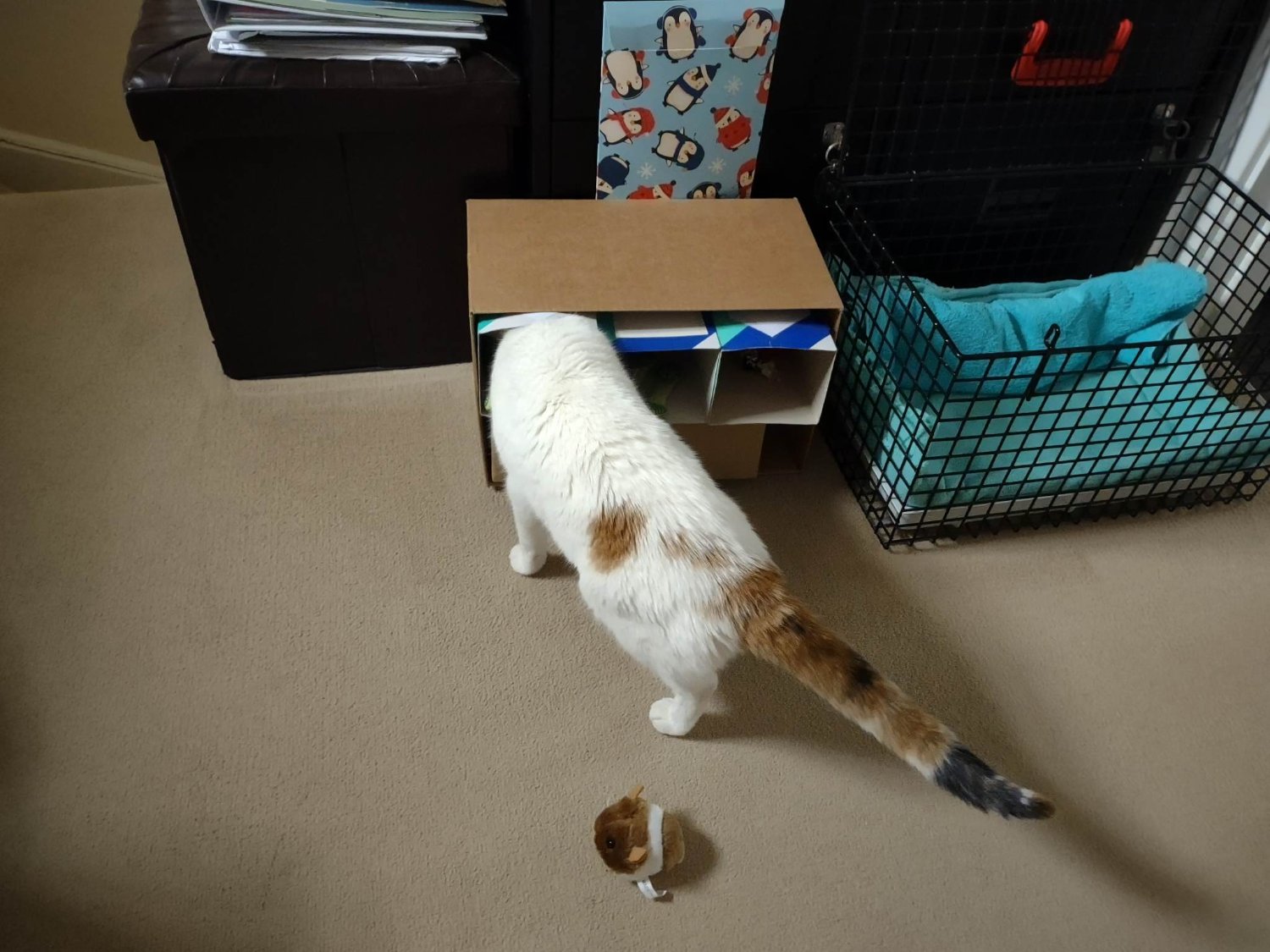 Solve Remembering Lily 1205 when the box is too small but you still