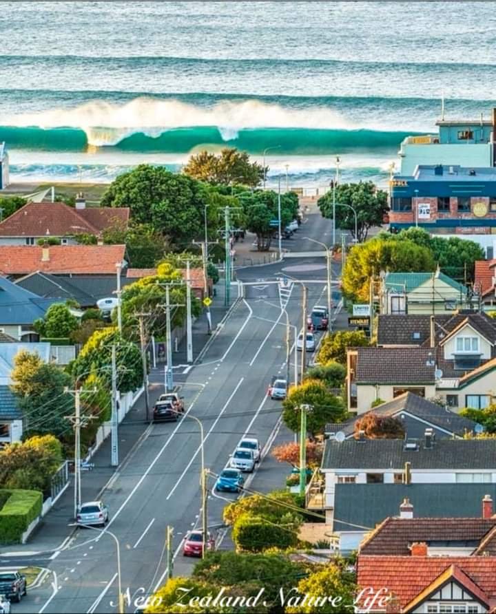 Solve St Clair beach, Dunedin jigsaw puzzle online with 20 pieces