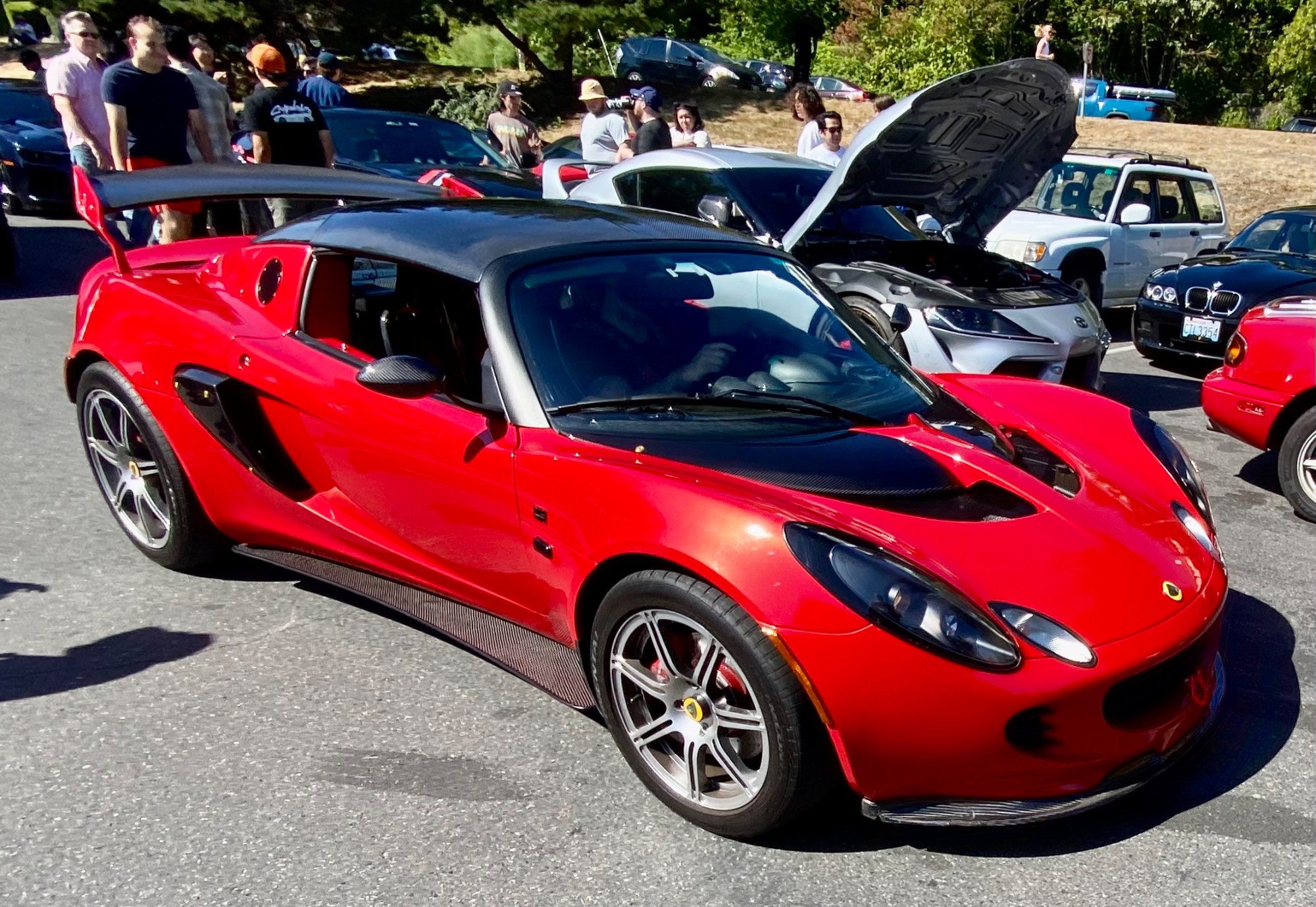 Solve Lotus jigsaw puzzle online with 70 pieces