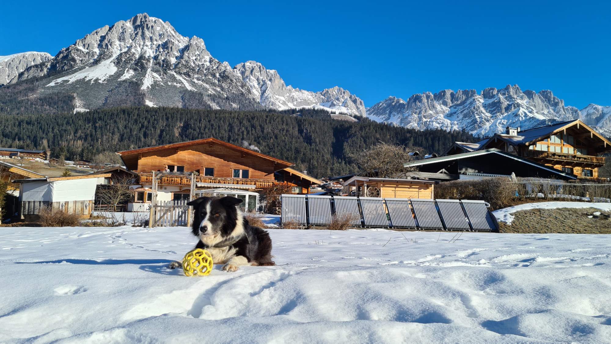 Solve Chico in front of Der Wilden Kaiser jigsaw puzzle online with 405 ...
