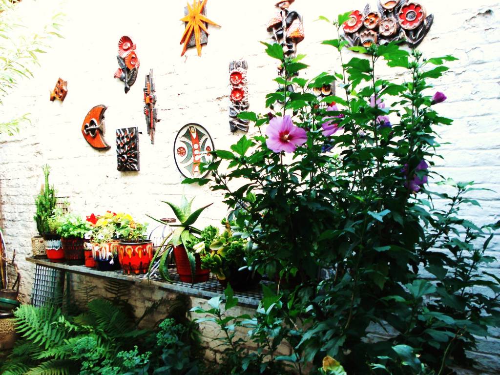 Solve Mon Hibiscus prend un bain de soleil jigsaw puzzle online with ...