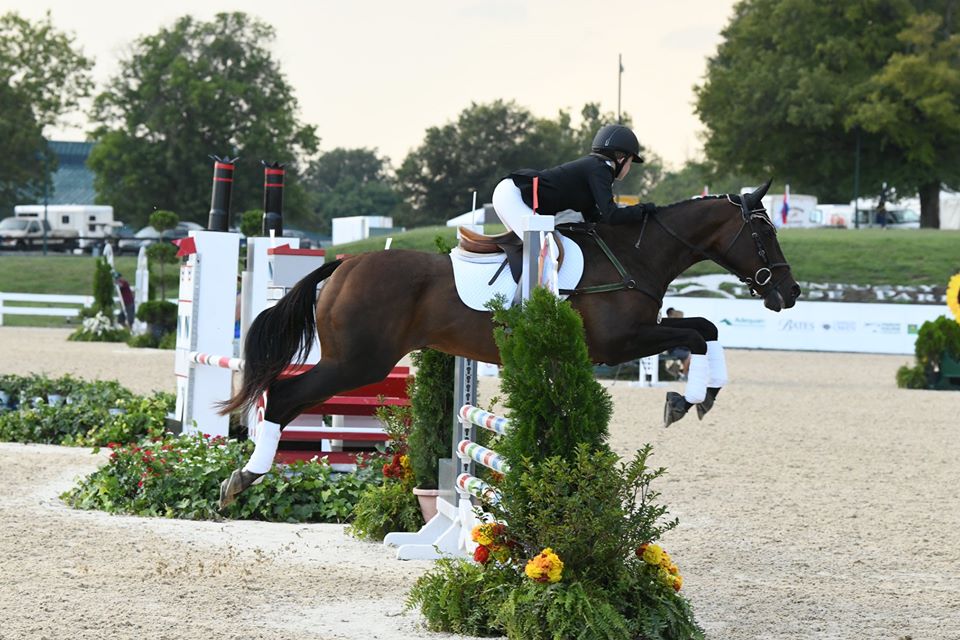 Solve Eventing Stadium jigsaw puzzle online with 96 pieces