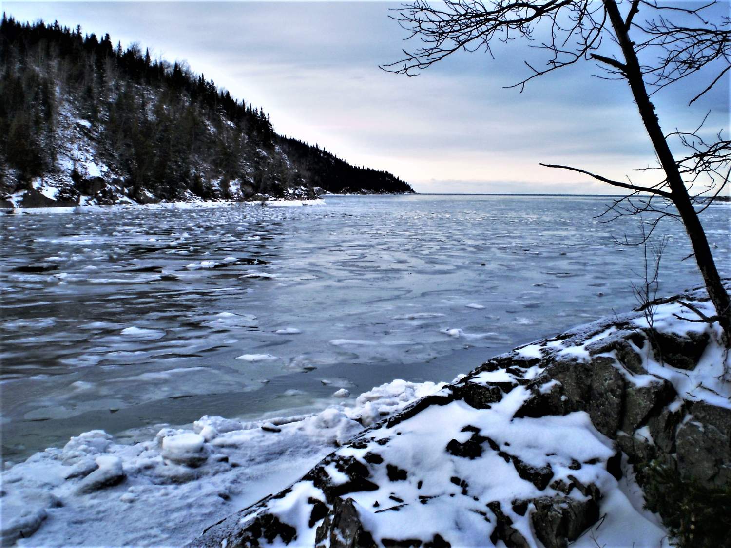 Solve Anse aux BouleauxOuest, Parc national du Bic, au Québec, Canada