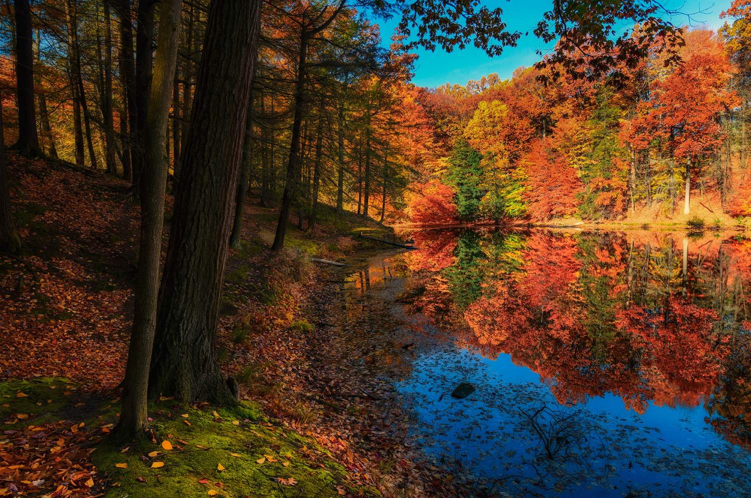 Solve Durand Eastman Park, Rochester, NY jigsaw puzzle online with 77