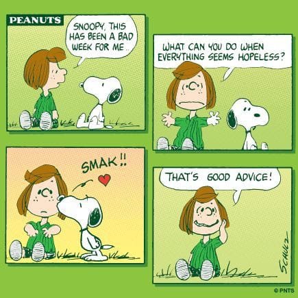 Solve Peanuts :-) jigsaw puzzle online with 16 pieces